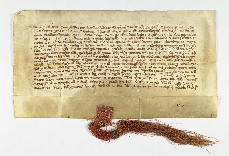 Urkunde von 1298 und Verordnung von 2021, Schwartz-Ahrens von 1860